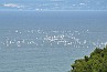 slides/ocean_traffic.jpg  ocean_traffic